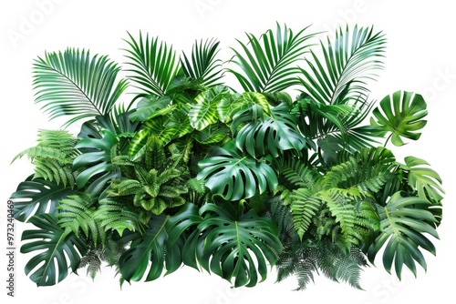 Close-up shot of various tropical plants on a white surface, great for use in interior design or travel-themed projects photo