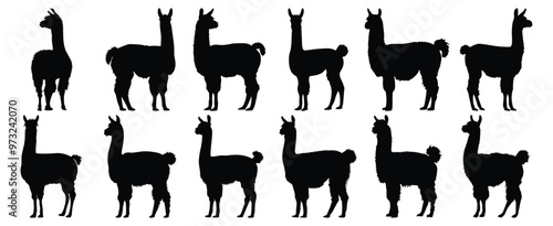 Llama silhouettes set, animal pack of vector silhouette design, isolated background