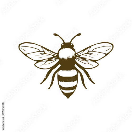 Honey bee editable vector logo. Hand drawn engraving style illustrations.