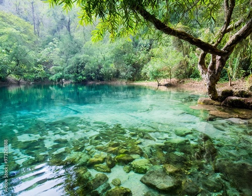 Crystal clear lake nature background with depth of field for a refreshing and peaceful retreat