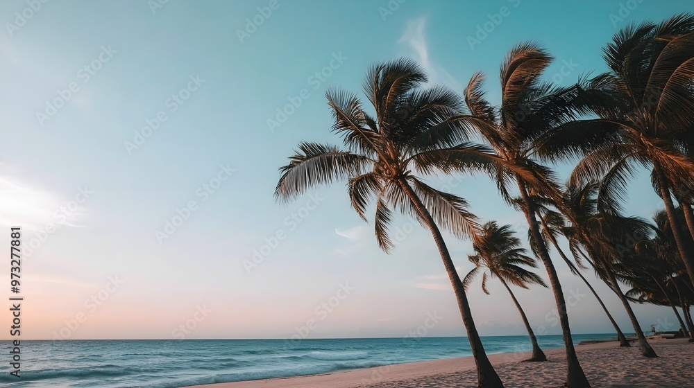 Palm trees swaying in the breeze along the sandy beach, with a soft gradient sky in the background Palm trees swaying in the breeze along the sandy beach, with a soft gradient sky in the background