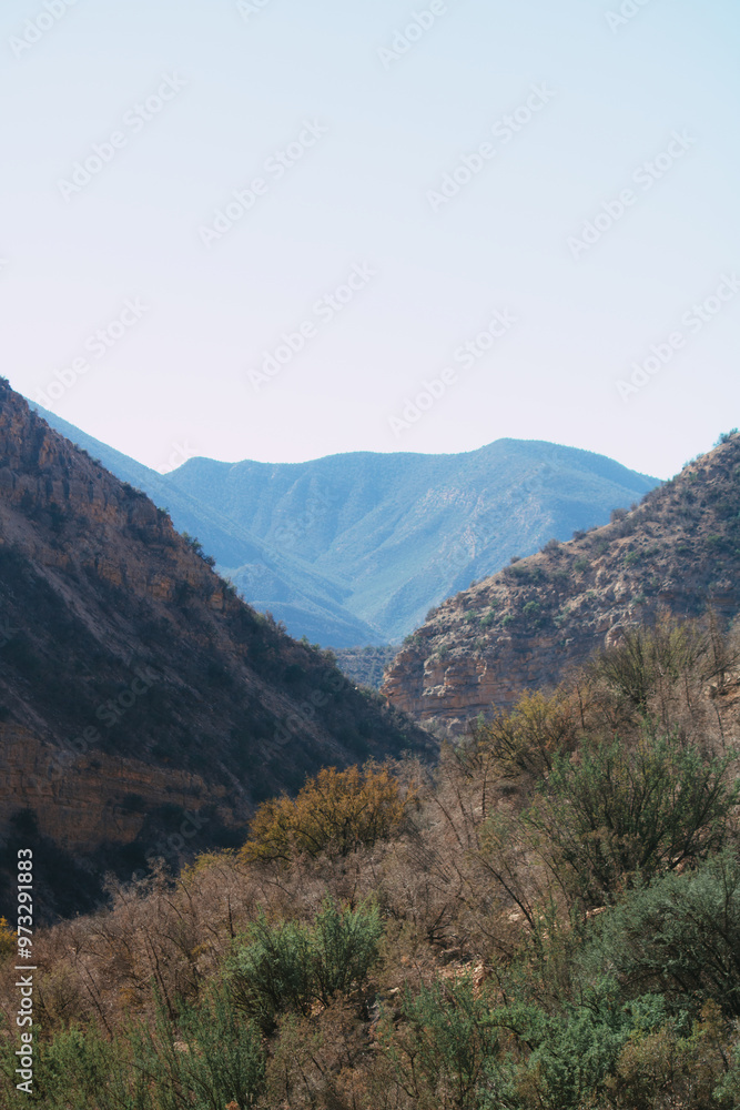 Schlucht mit grüner Vegetation und Bergblick in Marokko Schlucht mit grüner Vegetation und Bergblick in Marokko
