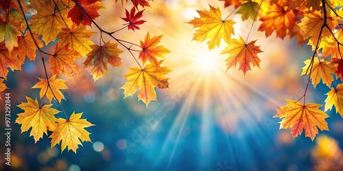 Colorful autumn leaves of a maple tree with sunshine in the background from a high angle view