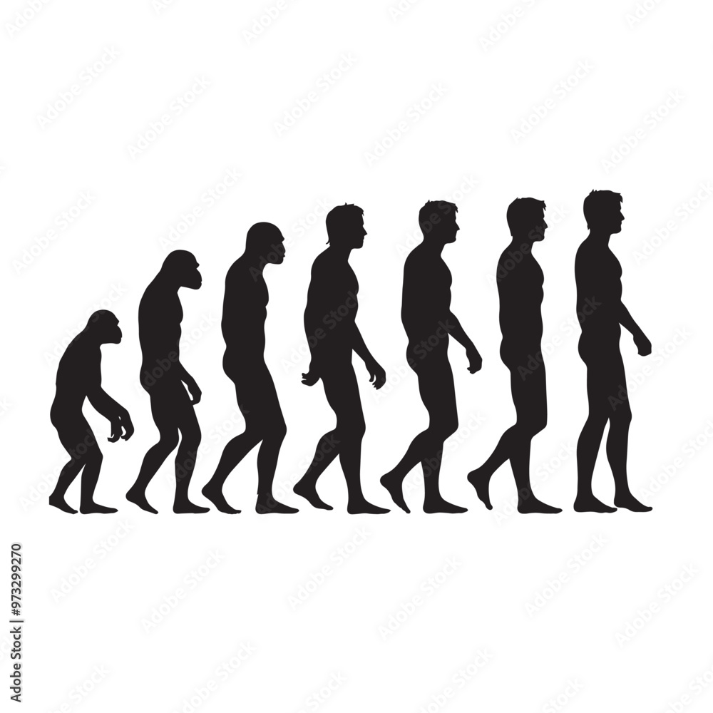 Clean Black and white vector silhouette of a Evolution of human specie on white background Clean Black and white vector silhouette of a Evolution of human specie on white background