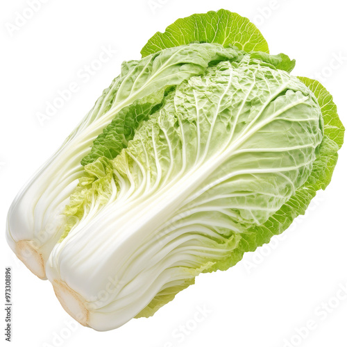 Fresh napa cabbage on a clean white surface isolated transparent