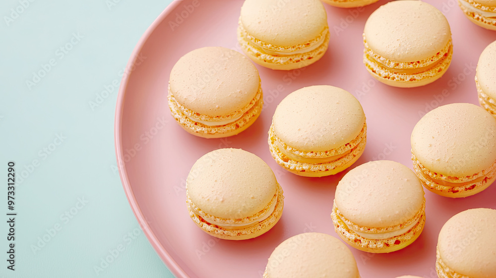 Delicious macarons arranged neatly on pastel pink plate, showcasing their delicate texture Delicious macarons arranged neatly on pastel pink plate, showcasing their delicate texture