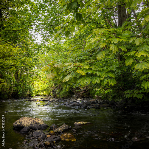 Small river, stream, or burn with cobble stones and trees with leaves overhanging water