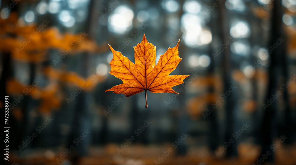 Golden maple leaf suspended in the air against a blurred forest background during autumn Golden maple leaf suspended in the air against a blurred forest background during autumn