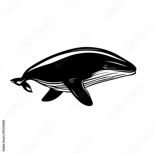 Whale Vector photo