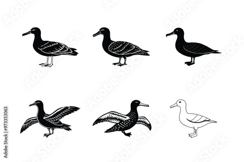 Set of Albatross silhouette vector illustration