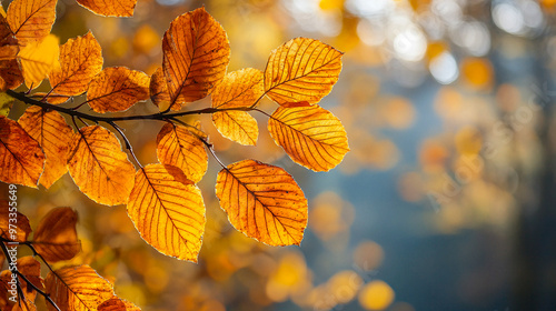 Golden autumn leaves glisten in the soft sunlight of a tranquil forest during fall season