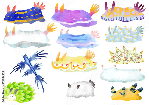 いろいろなウミウシのイラスト　手描き　水彩風