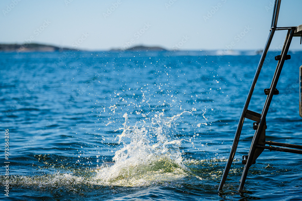 Fototapeta premium Splashing water after a person has dived into the sea by a ladder.