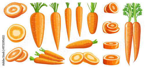 Carrots. Root vegetable food, ripe carrot healthy organic nourishing vegetarian ingredient for juice or salad, set vector illustration