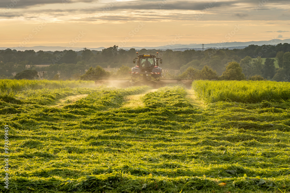 Fototapeta premium Farm tractor and mower cutting hay field at sunset, dust rising into air