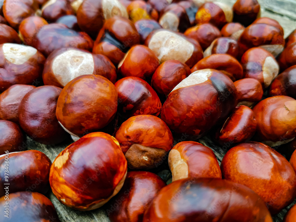 Ripe chestnuts lie on a wooden surface Ripe chestnuts lie on a wooden surface