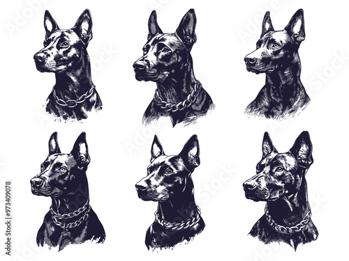 Dobermans sketches. Dog head portrait tattoo graphic, hand drawn canine muzzles black domestic pet character, set vector illustration
