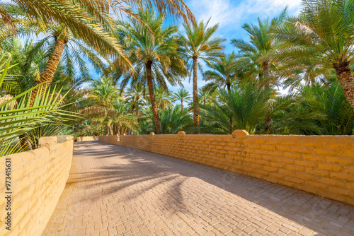 Walking paths surrounded by a canopy of date palm trees on the grounds of the historic Al Ain Oasis, an Unesco Cultural site in Al Ain, Abu Dhabi, United Arab Emirates. 