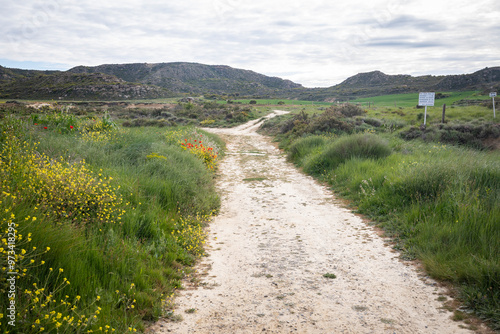 a dirt road close to Aguarales de Valdemilaz, Valpalmas, comarca of Cinco Villas, province of Zaragoza, Aragon, Spain photo