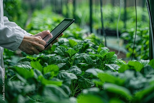 Scientist team inspects healthy plants in a greenhouse using technology during research in sustainable agriculture