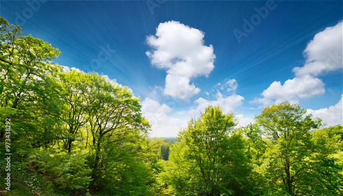 風にそよぐ緑の木々の上に広がる青空。太陽の光が木々の葉を照らし、心地よい自然の風景が広がる