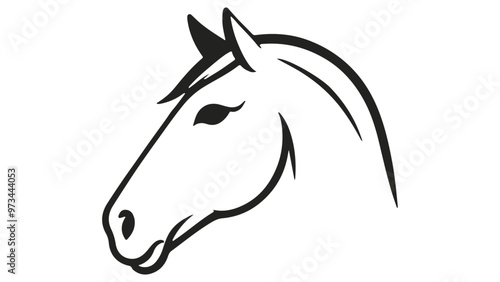 horse head vector illustration