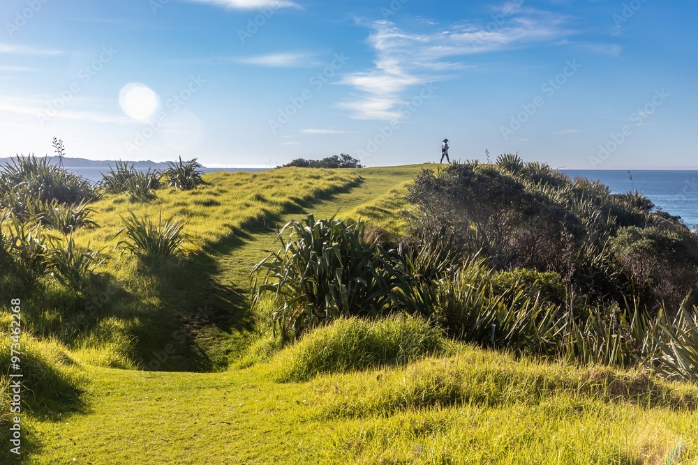 Obraz premium Hiking trail and beach coastline at Tawharanui, Warkworth, Auckland, New Zealand.