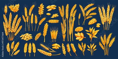 Wheats set. Agriculture wheat ear and grain, harvest bread element cereal seed, cereal crops cartoon vector illustration