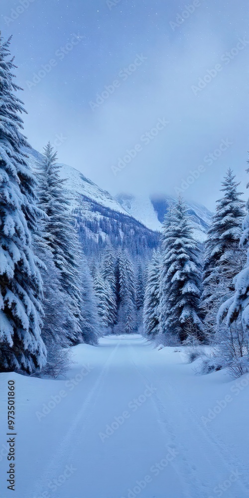 Obraz premium Winter landscape