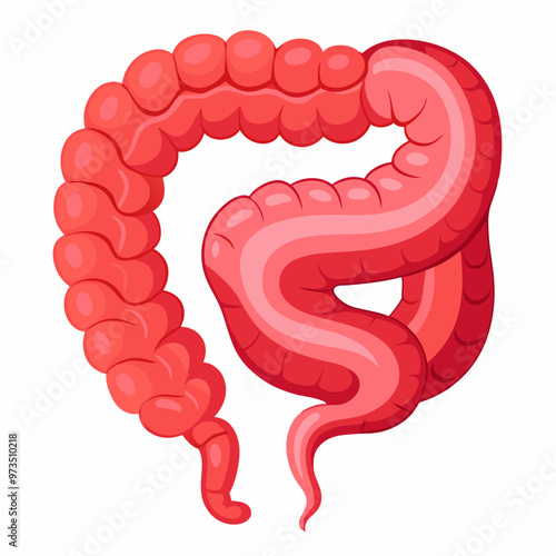 human-small-intestine