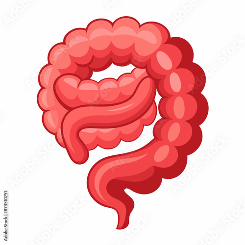 human-small-intestine