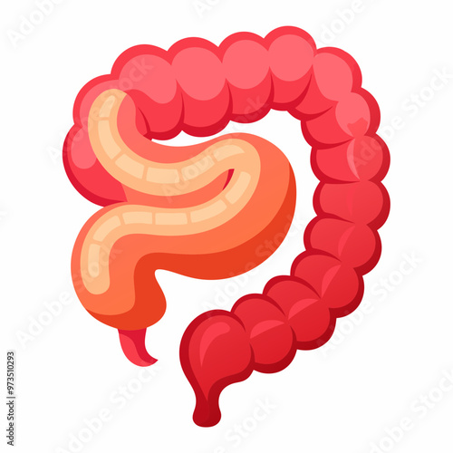 human-small-intestine