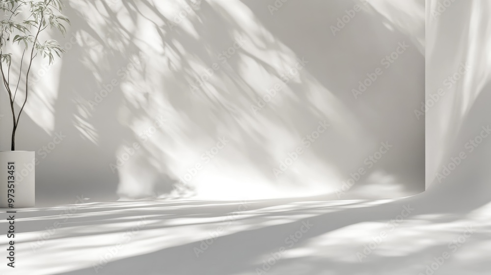 Beautiful smooth white background with gentle shadows and soft textures, perfect for creating minimalist and modern visual compositions Beautiful smooth white background with gentle shadows and soft textures, perfect for creating minimalist and modern visual compositions