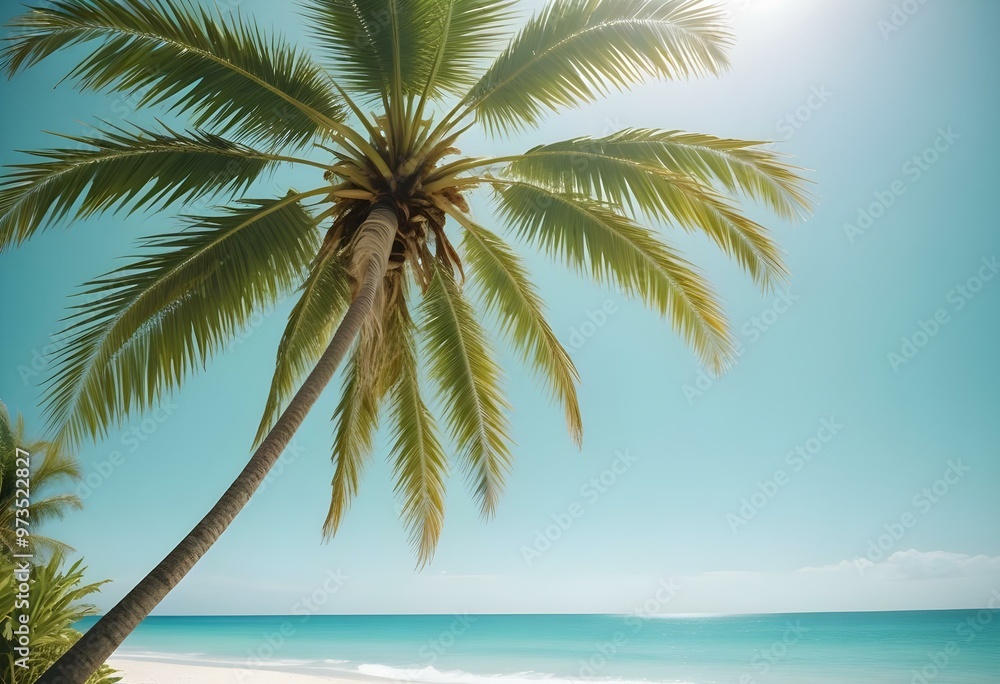 A tropical beach with a palm tree, clear blue sky, and calm turquoise waters A tropical beach with a palm tree, clear blue sky, and calm turquoise waters