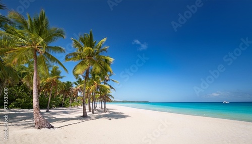 photograph of palm trees lining a beautiful beach captures the tropical essence with clear blue skies and serene sandy shores