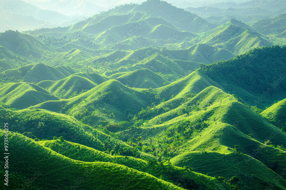 Fototapeta premium Panoramic View of Verdant Hills and Valleys.