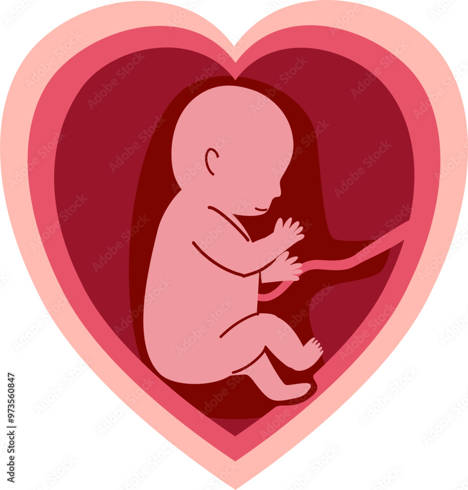 Human embryonic development Human embryonic development