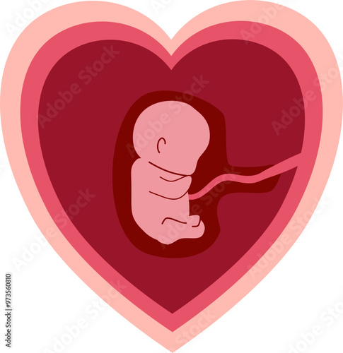 Human embryonic development
