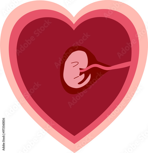 Human embryonic development