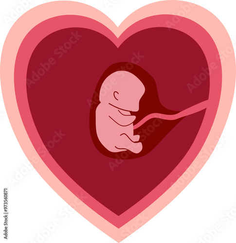 Human embryonic development