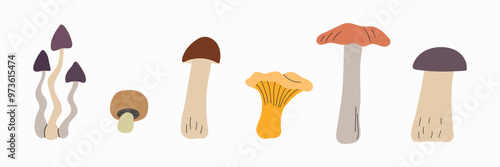 Set collection of hand drawn musrooms icon clipart illustration