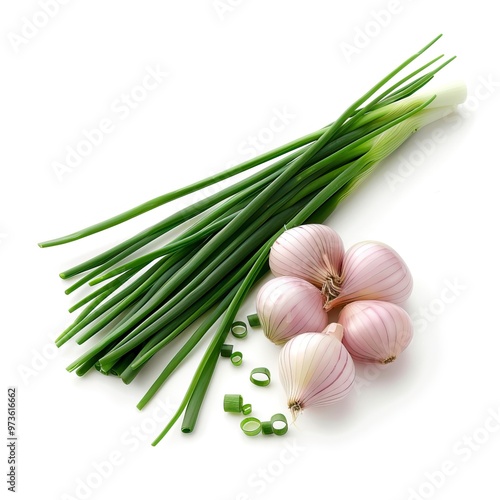 Onions or chives with stem on white background