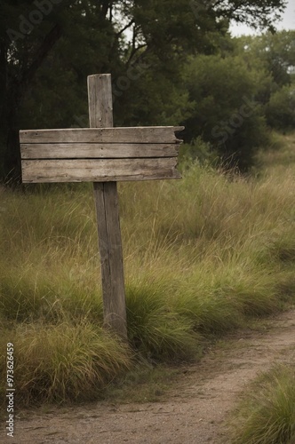 Faded wooden sign standing by a deserted, narrow path, blank and forlorn photo