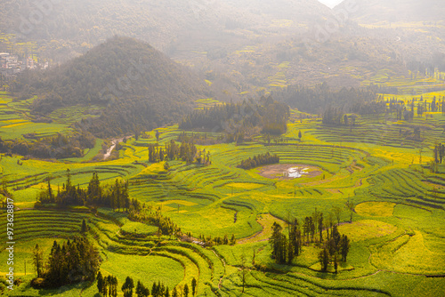 Scenic rural town with yellow fields and trees against cloudy sky in Luosi Field, Luoping China photo