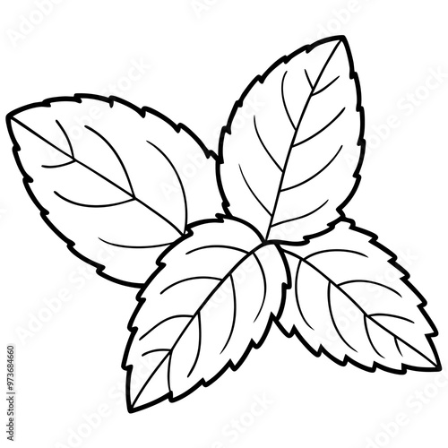 mint leaves outline coloring book page line art drawing