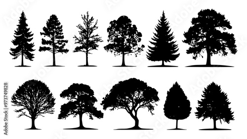 Variety of tree silhouettes in different shapes and sizes, ideal for nature-inspired designs, minimalist artwork, and eco-friendly themes. Perfect for projects requiring a bold and natural aesthetic.