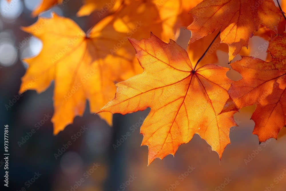 Orange fall leaves in park, autumn natural background , ai Orange fall leaves in park, autumn natural background , ai