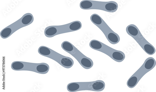 Corynebacterium Diphtheriae Bacteria