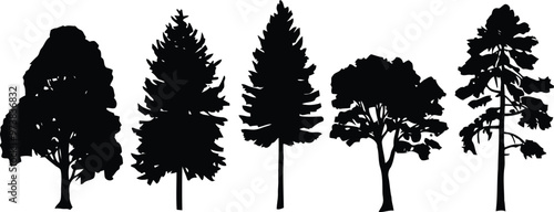 Realistic Black and White Tree Silhouettes, Nature Park Icons, Coniferous and Deciduous Forests with Shrubs and Grass, PNG on Transparent Background