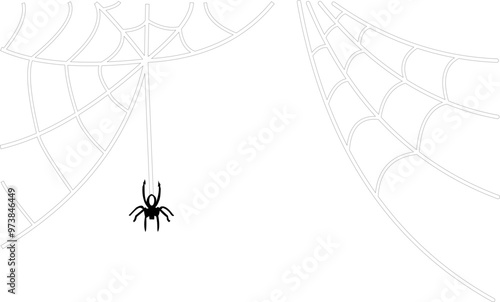 Halloween Spider Web